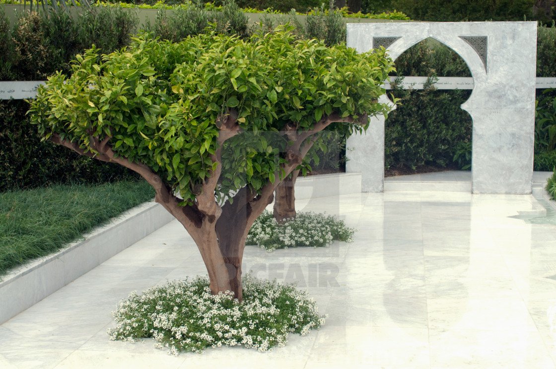 rhs chelsea flower show 2015 the beauty of islam garden created by